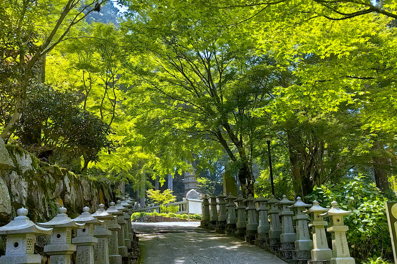 四國遍路-巨鼇山雲邊寺